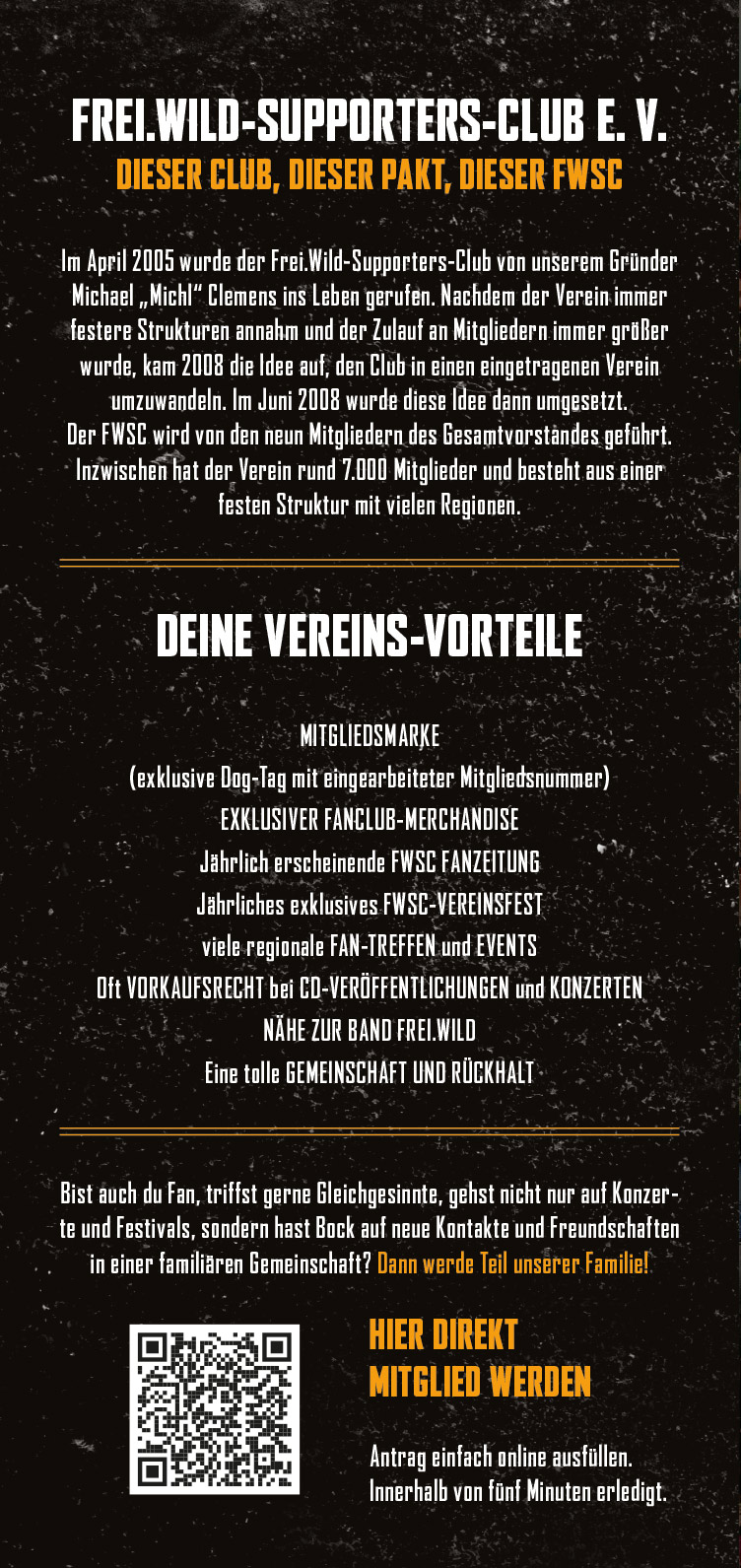 Flyer 2